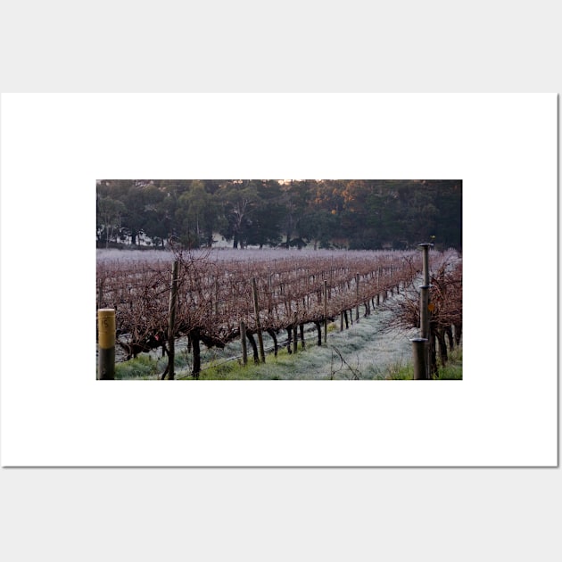 Frosty in the Vines - Adelaide Hills - Fleurieu Peninsula by South Australian artist Avril Thomas Wall Art by MagpieSprings